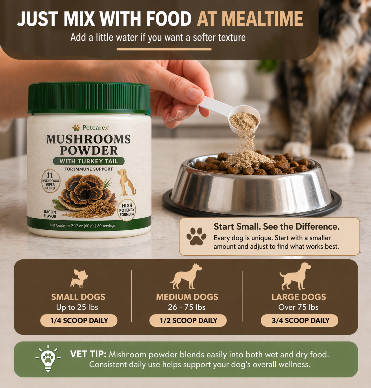 11 Mushroom Powder for Dogs and Cats – Turkey Tail, Lion’s Mane, Shiitake and Reishi – Daily Pet Wellness Supplement - Image 5